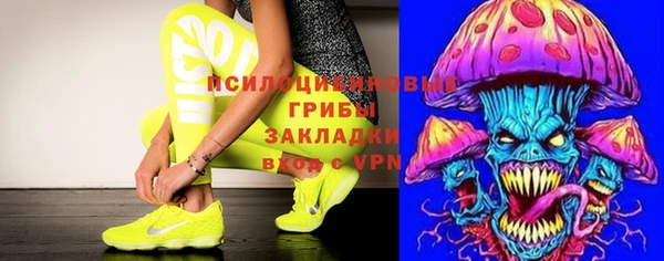 винт Краснослободск